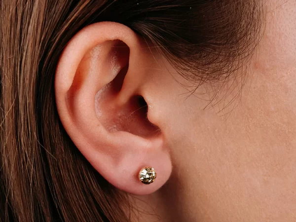 Small Gold Earrings